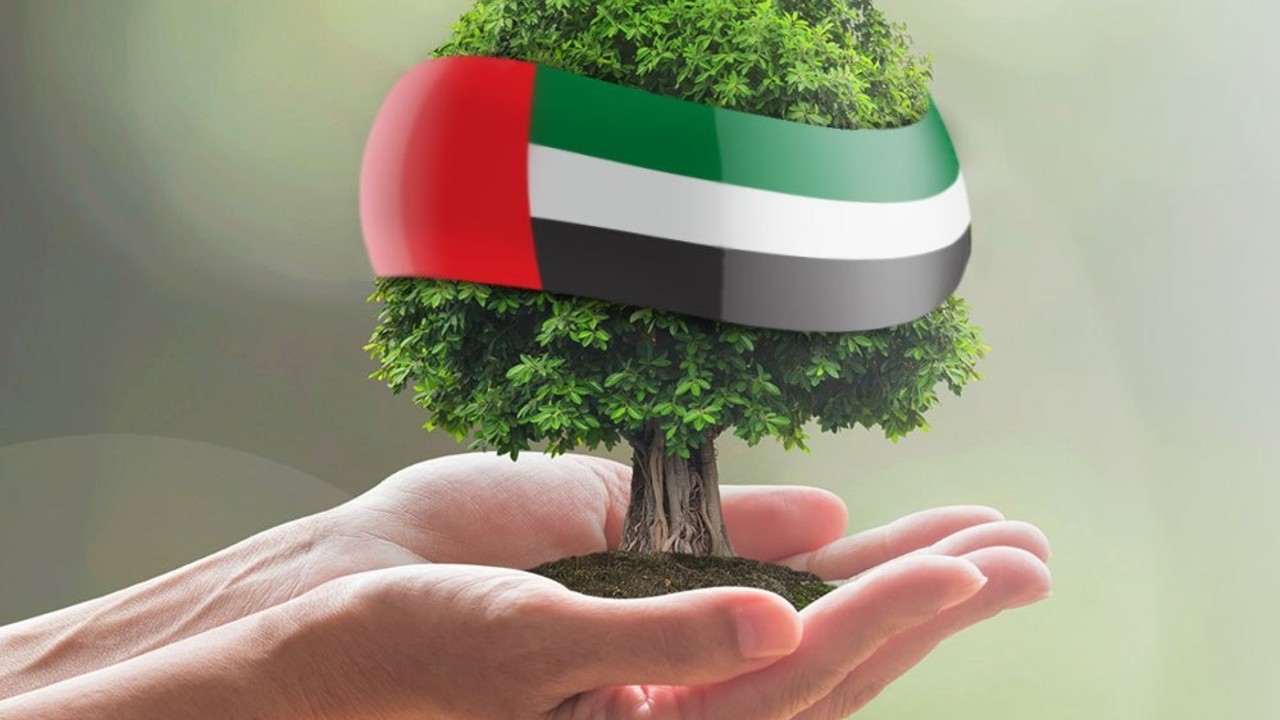 On World Environment Day, UAE’s Minister of Climate Change ... Image 1